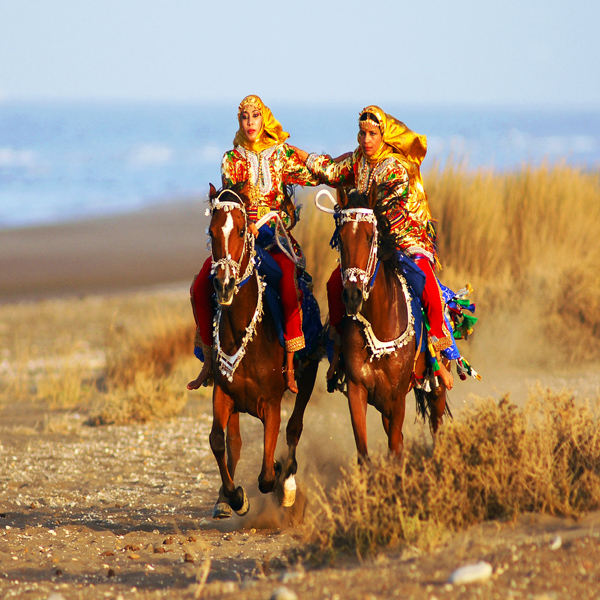 Oman Sul Retro Del Cavallo