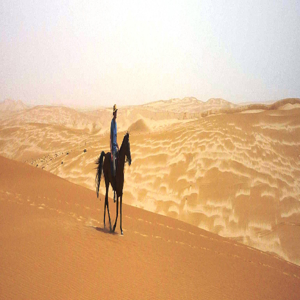à dos de cheval 6 jours au Oman